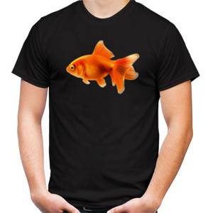 Kaos ikan koki