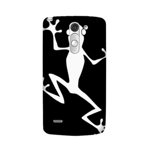 Frog on Wall Casing HP