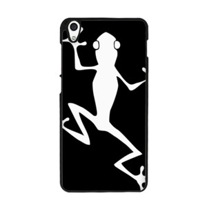 Frog on Wall Casing HP