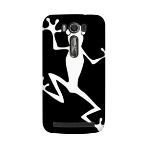 Frog on Wall Casing HP