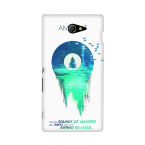 AMBIENT v2 Casing HP