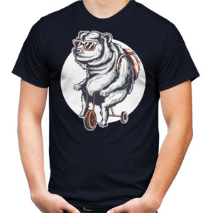 Kaos BERUANG KUTUB
