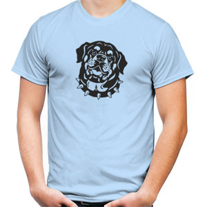 Kaos Rottweiler lovers