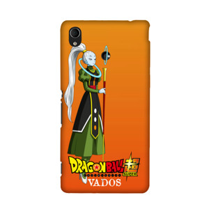 VADOS  Casing HP