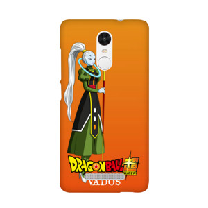 VADOS  Casing HP
