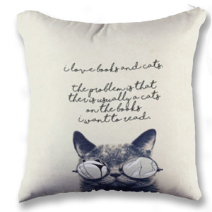 Bantal Book and Cat