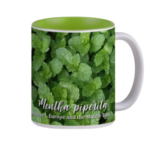 Mug Mug Peppermint