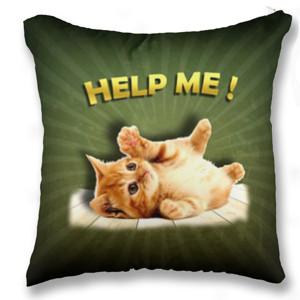 Bantal BANTAL SOFA KUCING LUCU CAT LOVER 03