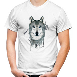 Kaos Kaos Wolf Splash (SBHFS)