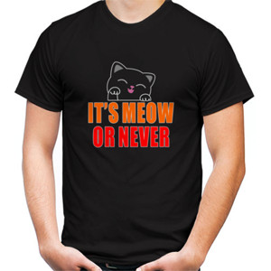 Kaos Its Meow Or Never