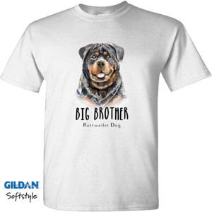 Kaos Big Brother