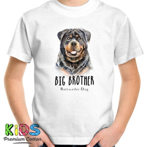 Kaos Big Brother