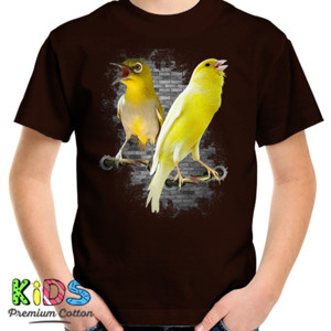 Kaos Gabungan Burung