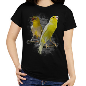 Kaos Gabungan Burung