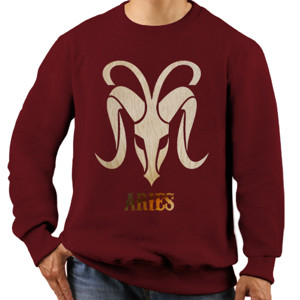 Jaket Sweater Aries