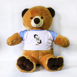 Boneka Beruang Pisces