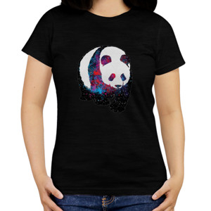 Kaos Panda galaxy space
