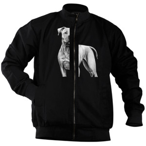 Jaket Bomber Kaos Gambar Anjing 321