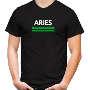 Kaos Aries T-shirt