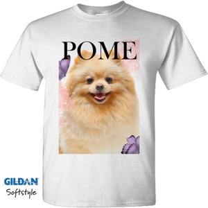 Kaos KAOS POMERIAN WHITE