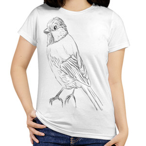 Kaos BURUNG KICAU