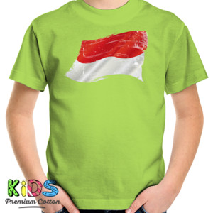 Kaos Indonesia Grunge Flags