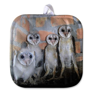 Cempal Baby Owls