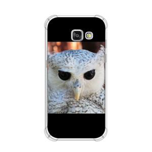 White Owl Casing HP 