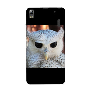 White Owl Casing HP