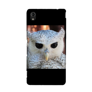 White Owl Casing HP