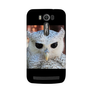 White Owl Casing HP