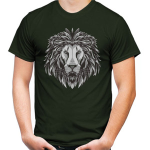 Kaos The great lion
