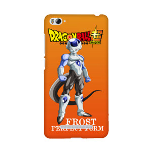 FROST PERFECT FORM Casing HP