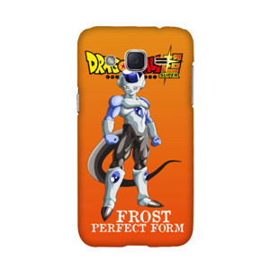 FROST PERFECT FORM Casing HP