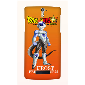 FROST PERFECT FORM Casing HP