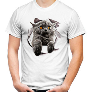 Kaos Grey Cat