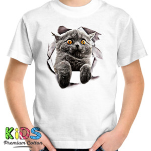 Kaos Grey Cat