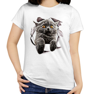 Kaos Grey Cat
