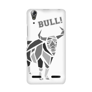 Bull Case Casing HP