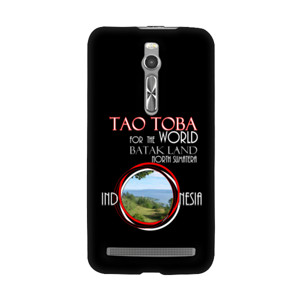 II.A-1. Tao3 Casing HP