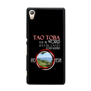 II.A-1. Tao3 Casing HP