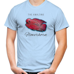 Kaos THE AMAZING FLOWER HORN 3