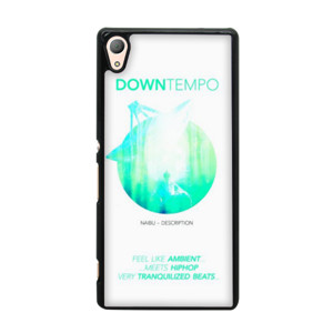 DOWNTEMPO v2 Casing HP