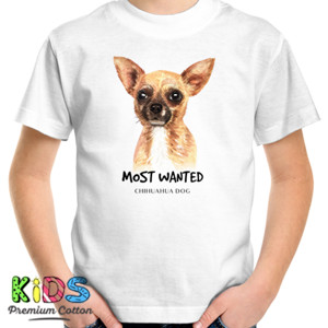 Kaos Chihuahua
