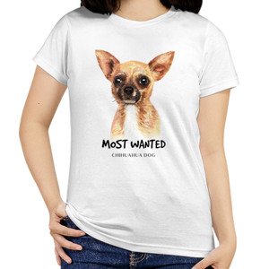Kaos Chihuahua