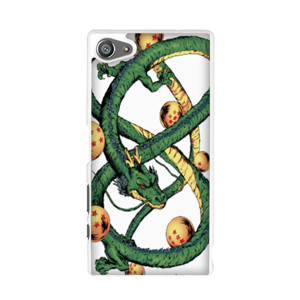 The Dragon Casing HP