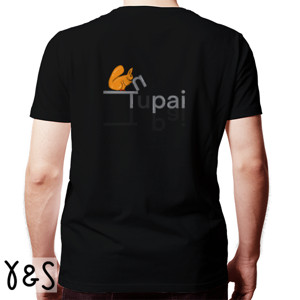 Kaos Tupai