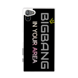 BIGBANG FANDOM Casing HP
