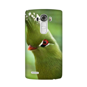 Apple Phone Cassing Casing HP