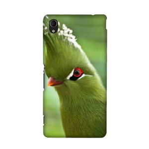 Apple Phone Cassing Casing HP